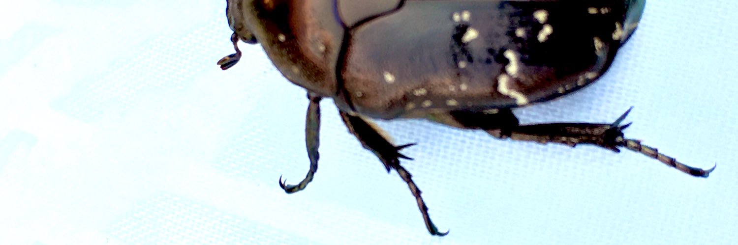 tar_one_mo's profile banner image