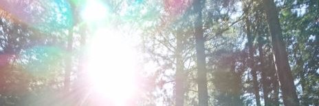 olhikari's profile banner image