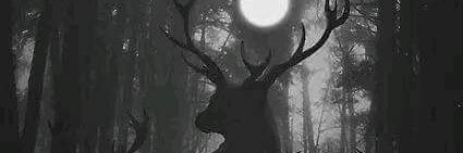BOREALISYAHOO's profile banner image