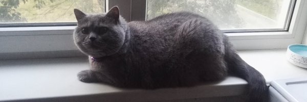 Neformatws Profile Banner