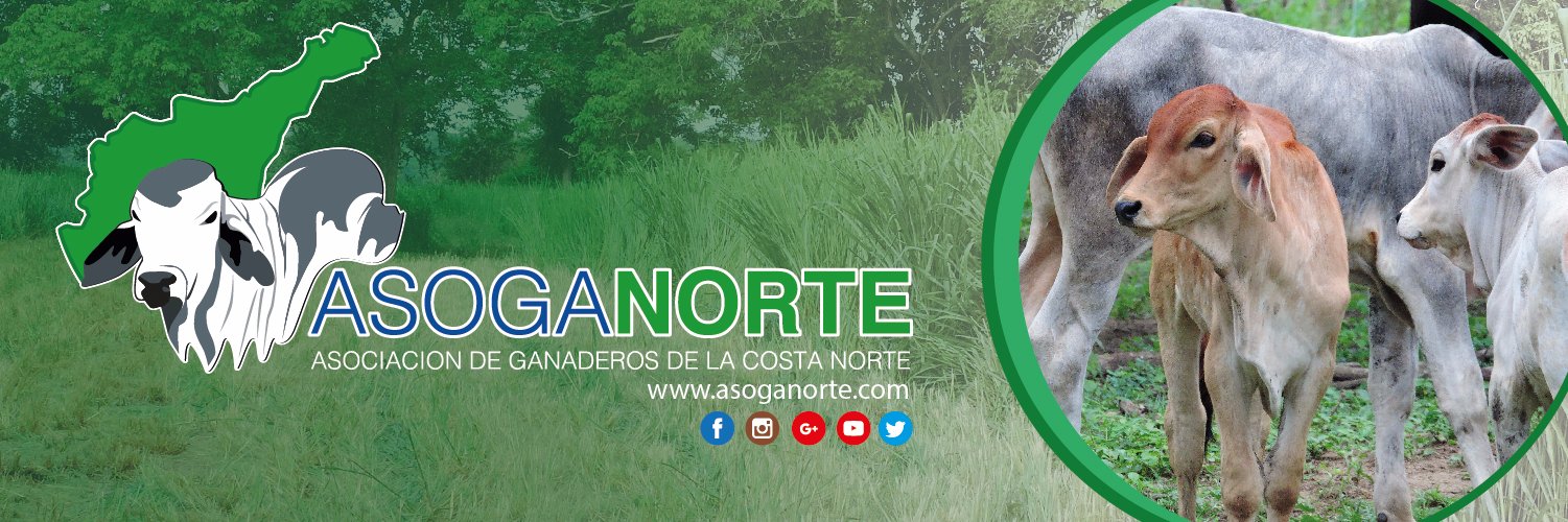 ASOGANORTE's profile banner image
