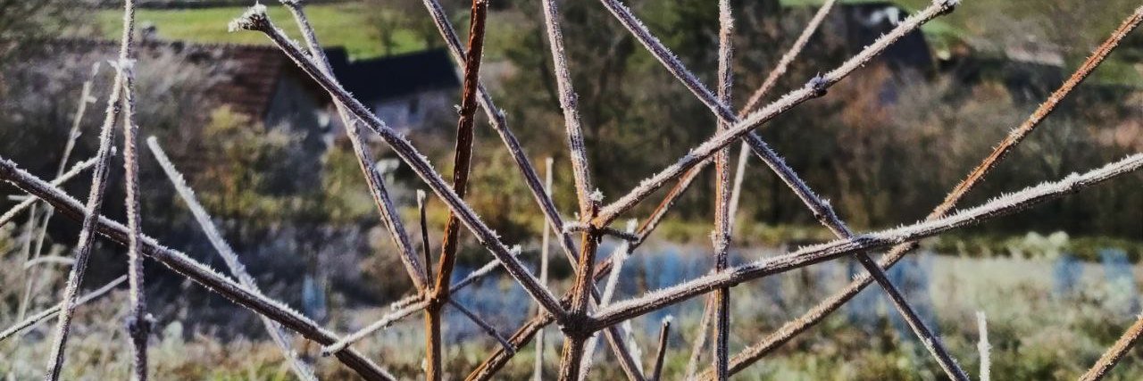 Simon Carrignon banner