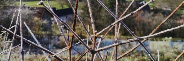 SimonCarrignon Profile Banner