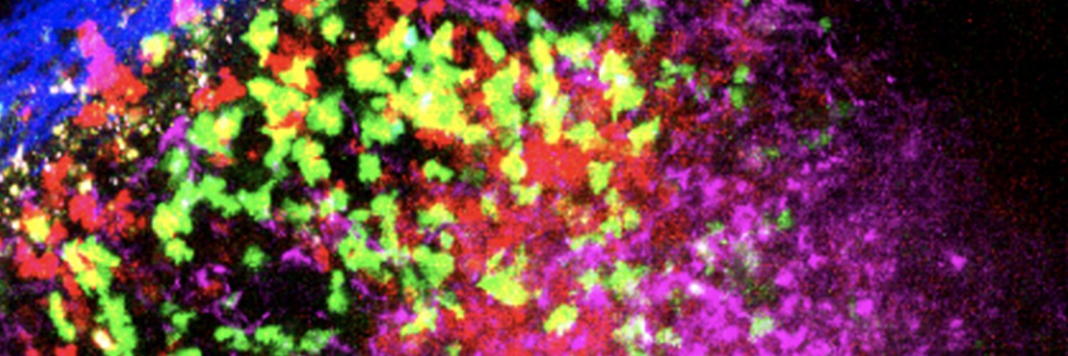 Phan Lab's banner