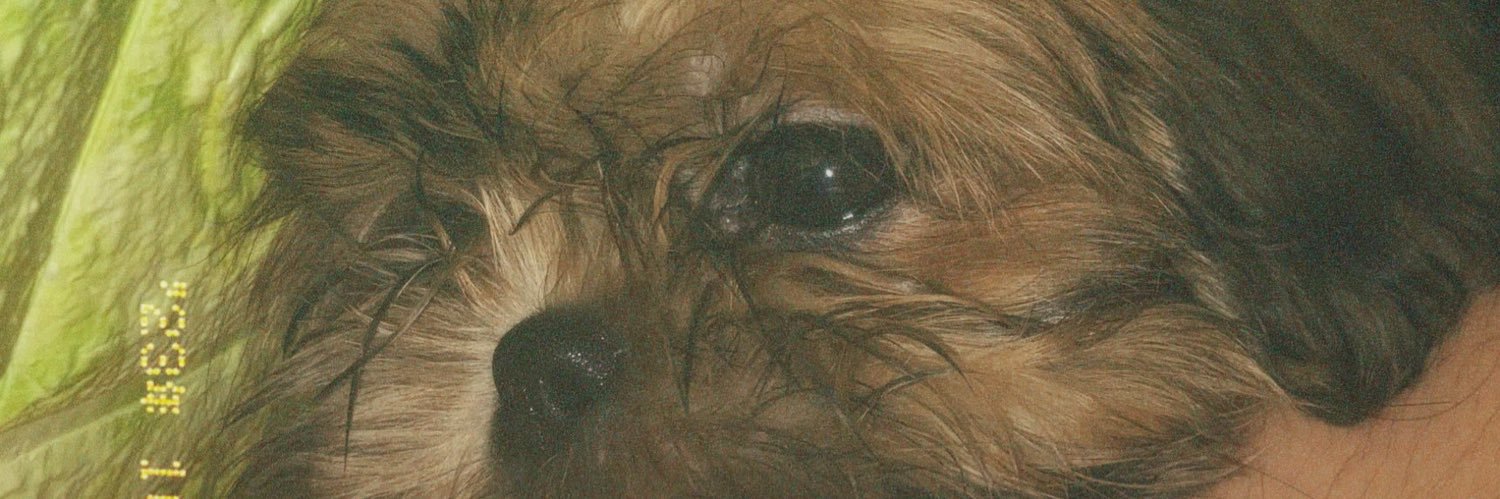 notanyonesgal's profile banner image