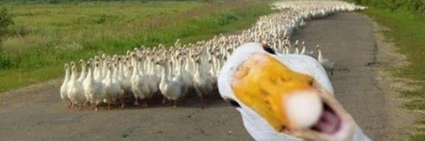 moonpie_87 Profile Banner