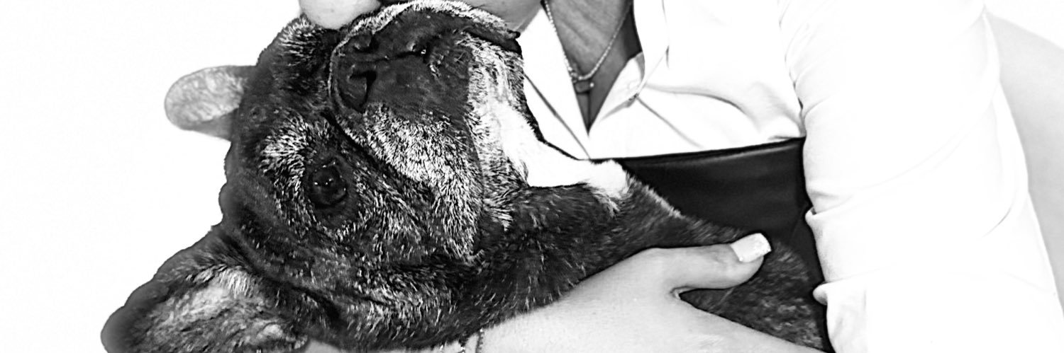 drjoaquinfernandogon banner
