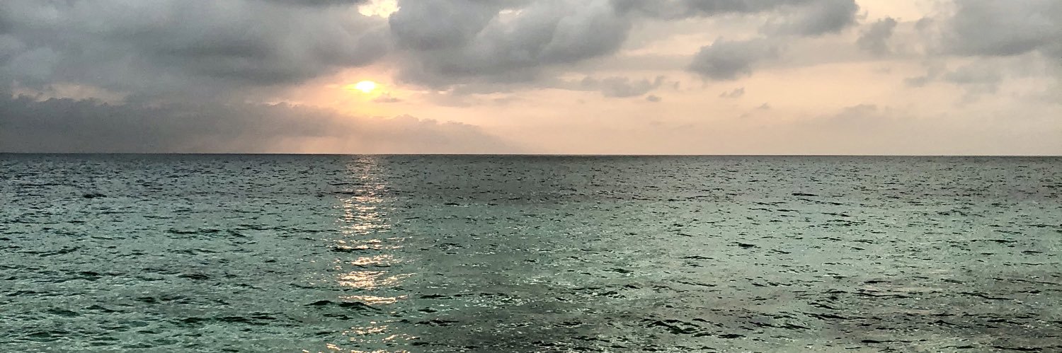 lilianaro2000's profile banner image