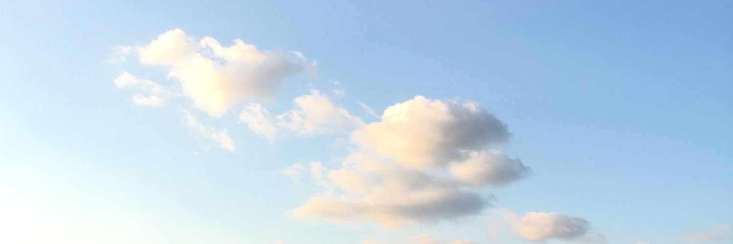 sebmanyaa's profile banner image