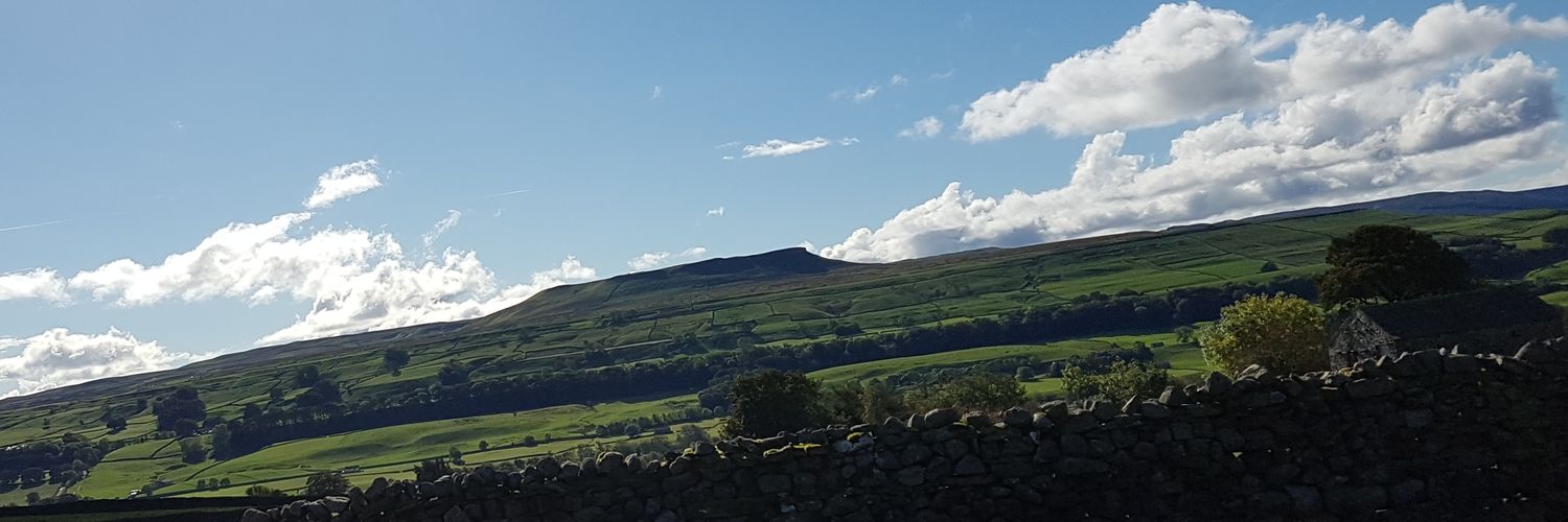 Amanda Ryan banner