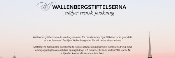 Wstiftelserna Profile Banner