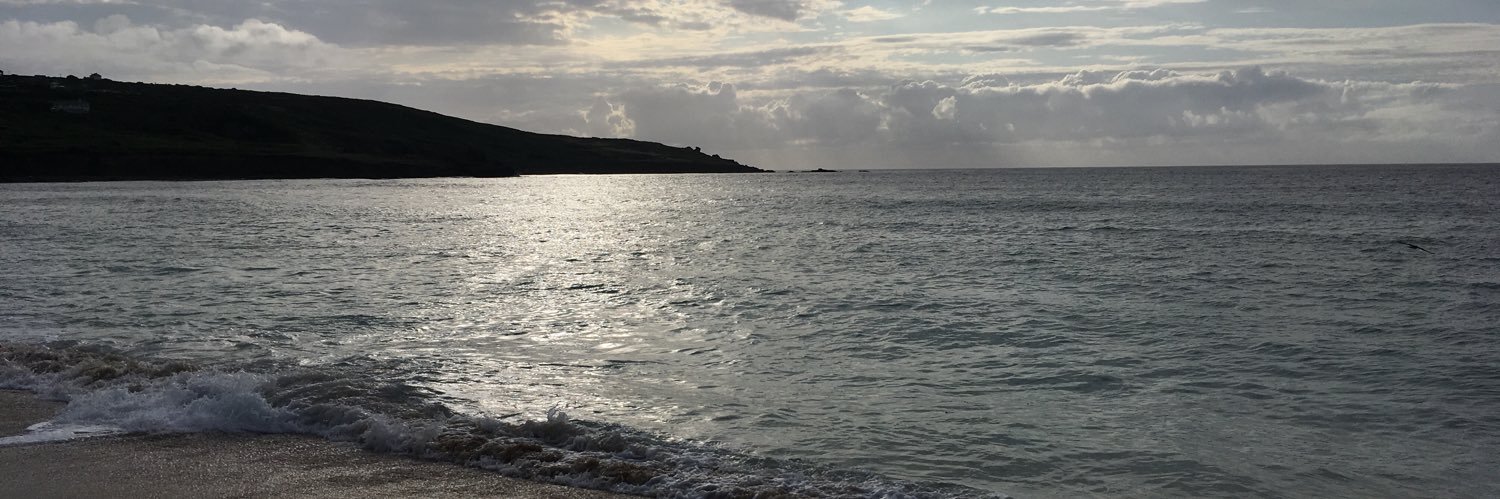 Dr Sue Madden banner