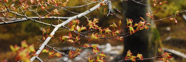 EspinosaRomain Profile Banner