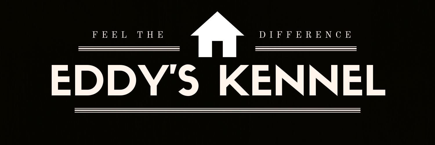 EddyKennel's profile banner image