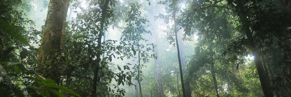 AnthropoceneBio Profile Banner