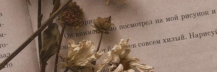 ☁️ acotar6 era's banner
