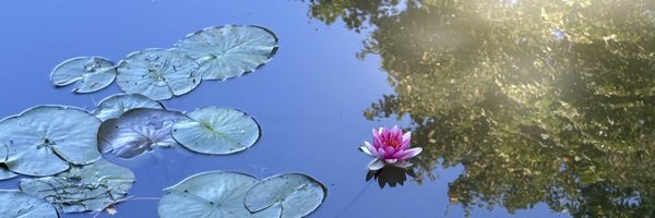 MackenzieLea Profile Banner