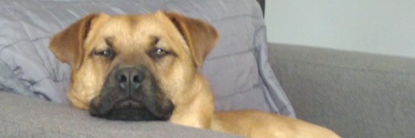 Bahar66704741 Profile Banner