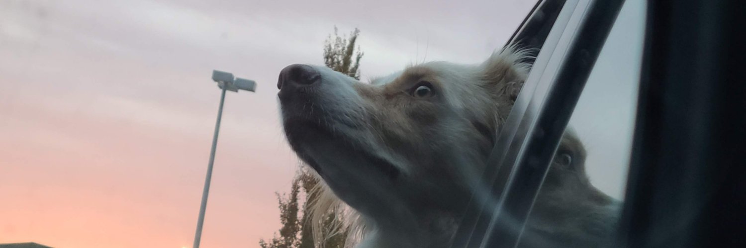soakes91's profile banner image