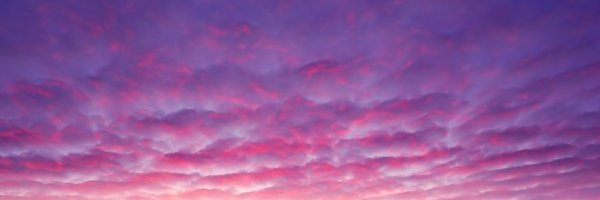 blozd's profile banner image