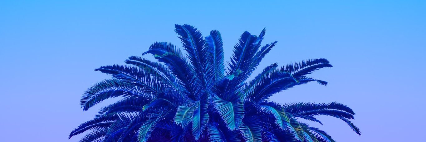 Evotrap_'s profile banner image