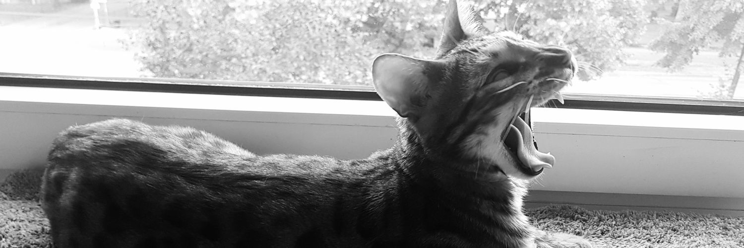 Hallore86's profile banner image