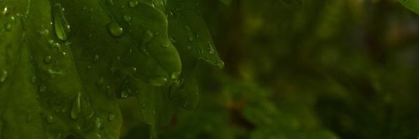 AlekseyMatveev1's profile banner image