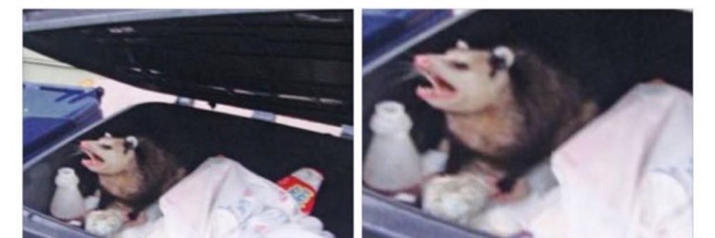 mail_uh_knee's profile banner image