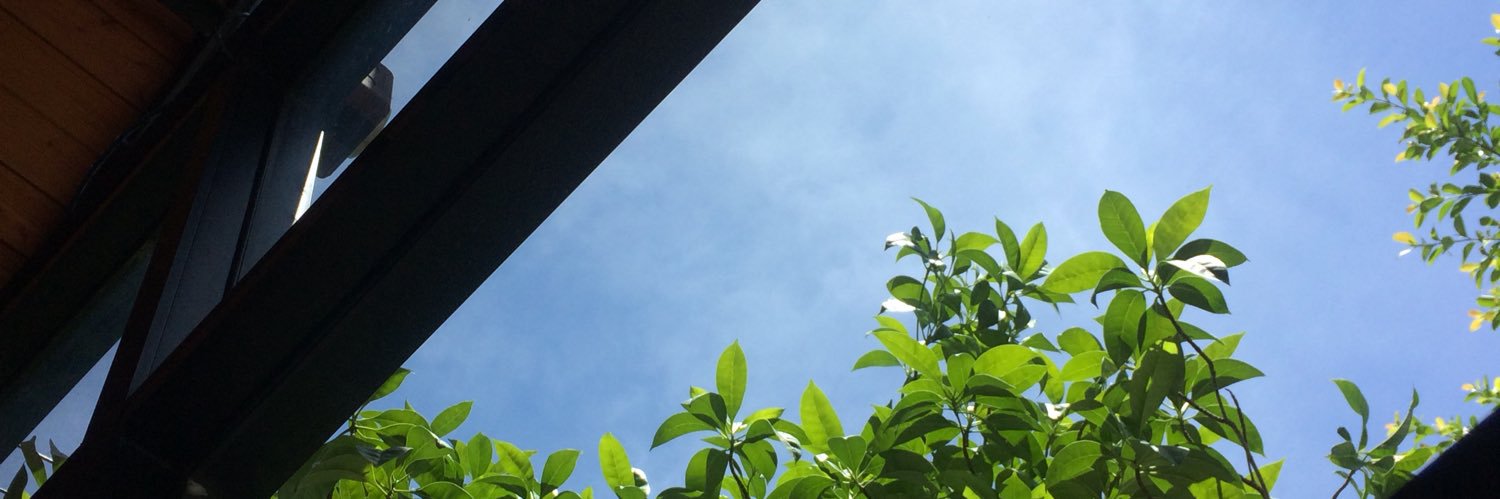 mmeeaannyep's profile banner image