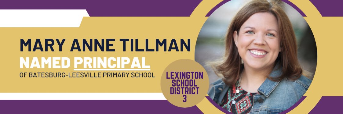 Mary Anne Tillman banner