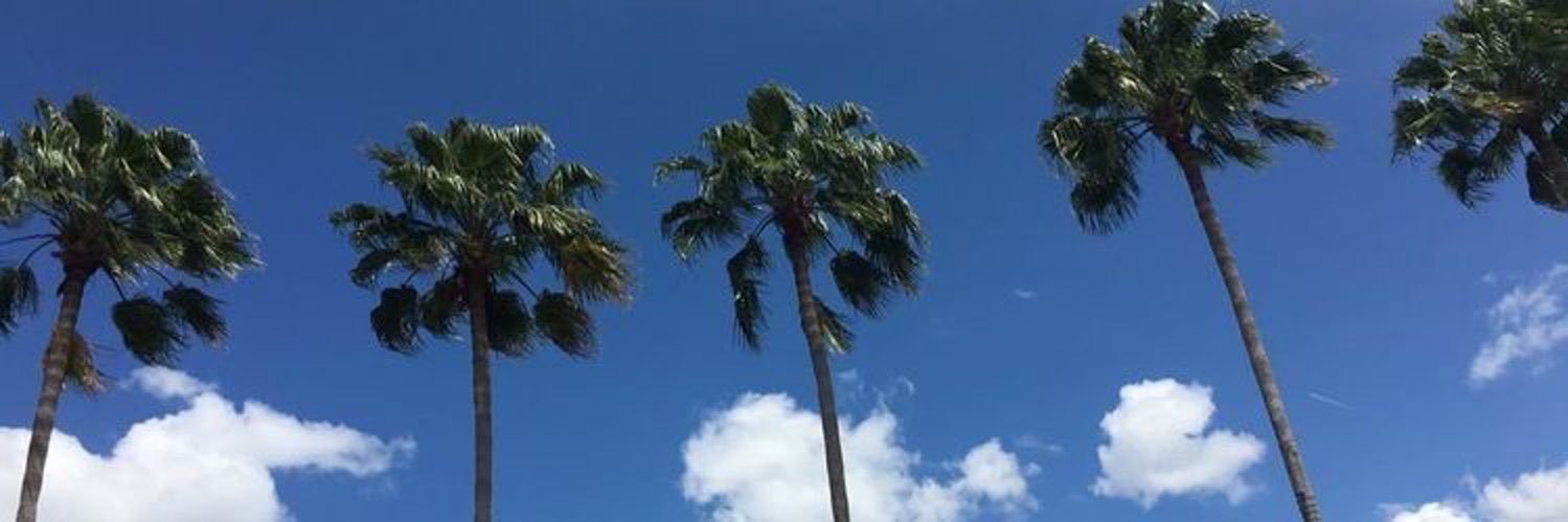 scaaamby's profile banner image