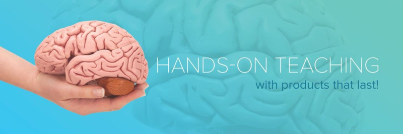 3BS_Therapy's profile banner image