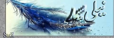 neelisyed's profile banner image