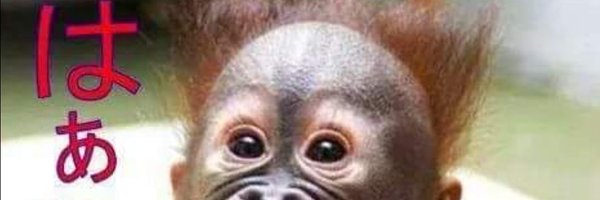 629_koh Profile Banner