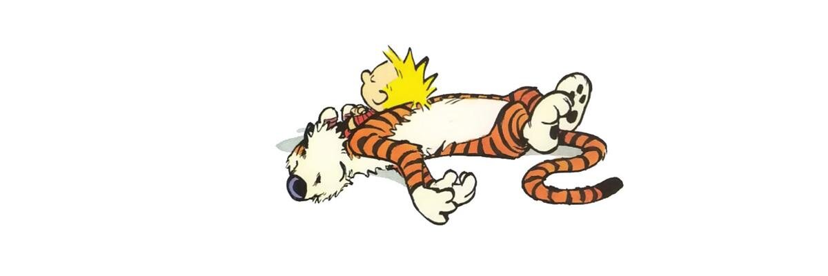 Maarten Reijnders banner