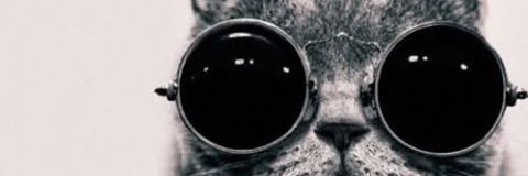 Rhamdaniaaa's profile banner image