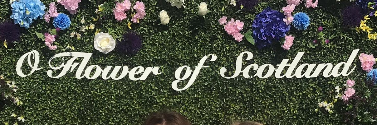 Miss MacMichael ⛅️🌸 banner