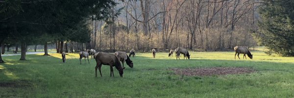 LerchEcoEvo Profile Banner