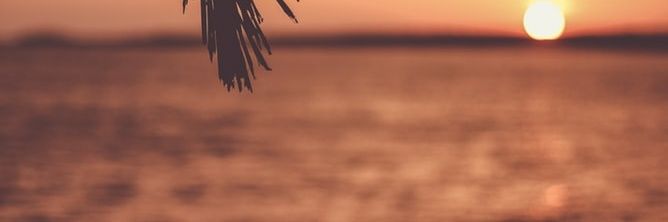 JorgeA_F's profile banner image
