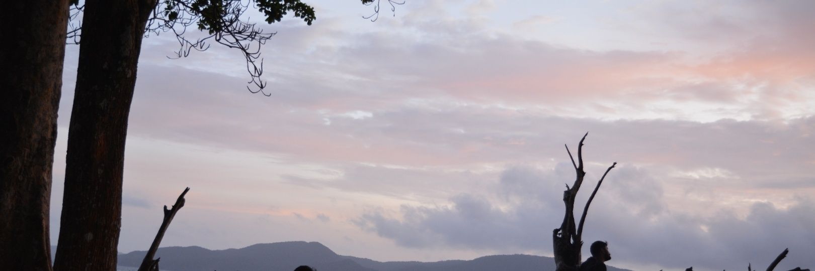 makesh banner