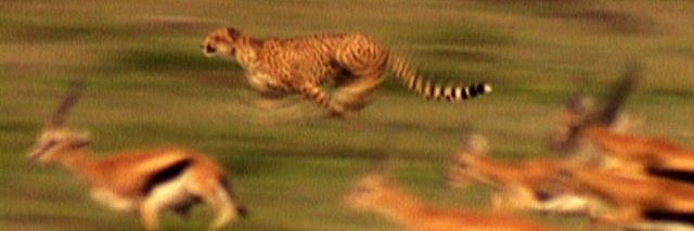 TiffanyGibert's profile banner image