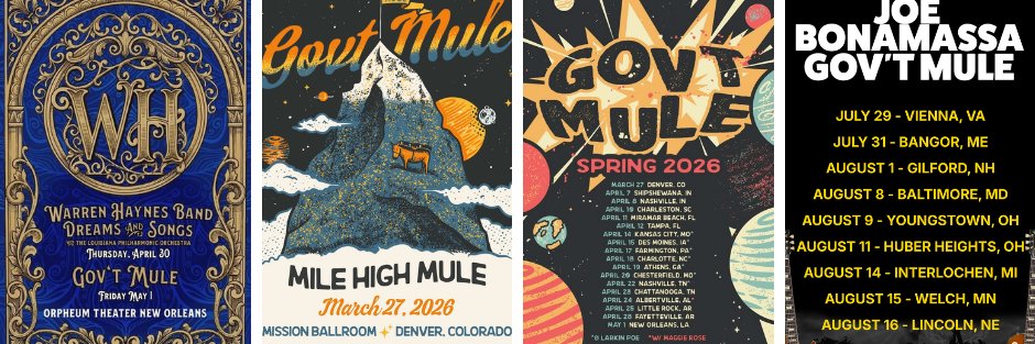 Gov't Mule banner