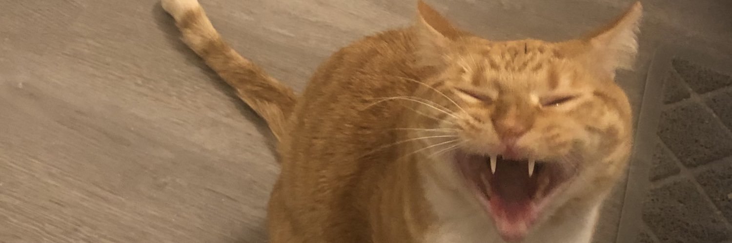 flacosiris's profile banner image