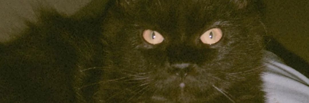 ljmacapagal's profile banner image