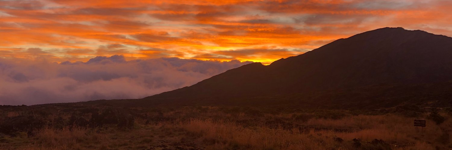 Marcel Honore banner