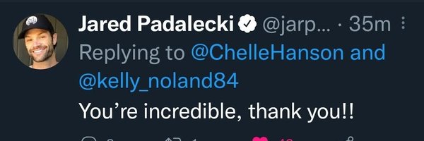 ChelleHanson Profile Banner