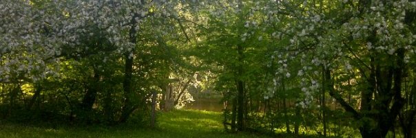kimmberlea's profile banner image