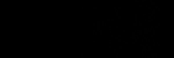 aj_lieuwen Profile Banner