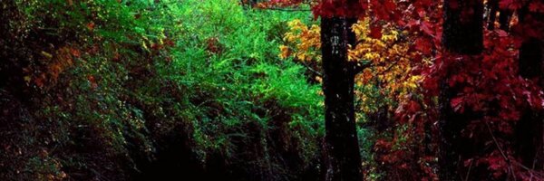 trak1434 Profile Banner