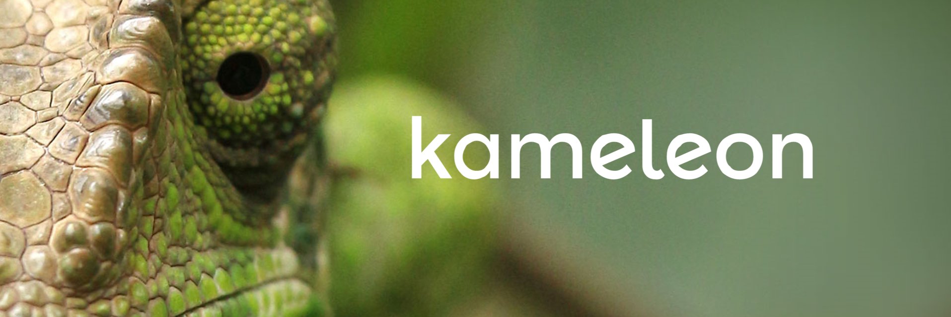KameleonDH's profile banner image